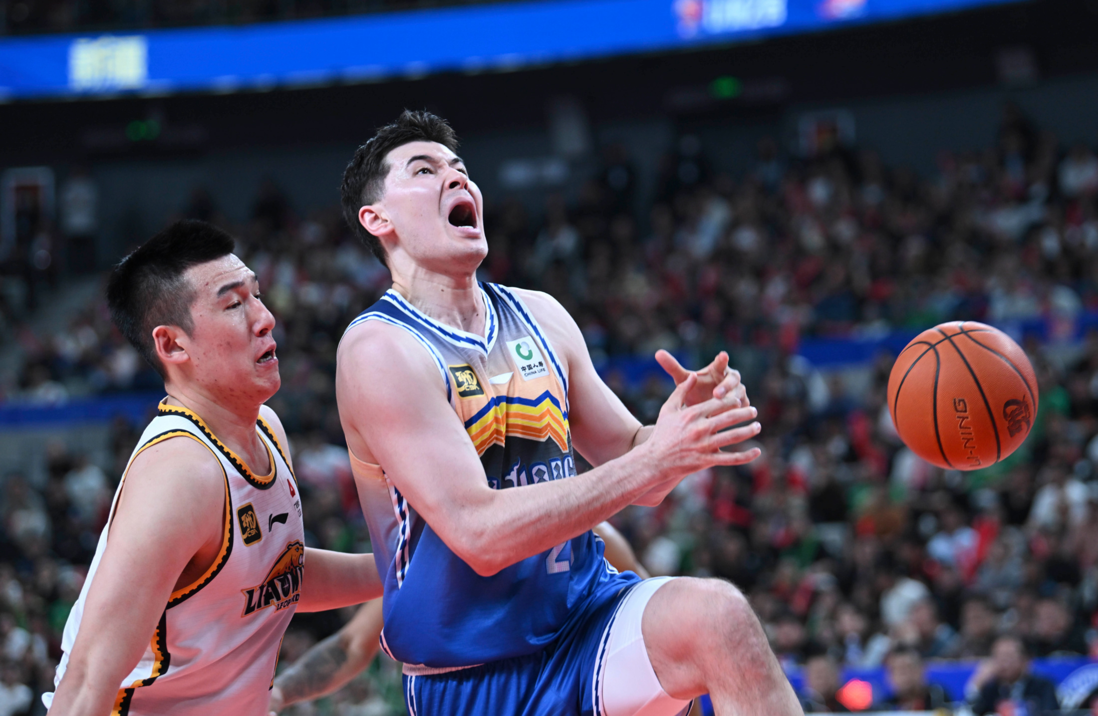 鹈鹕险胜北京队，戈贝尔惊艳四座