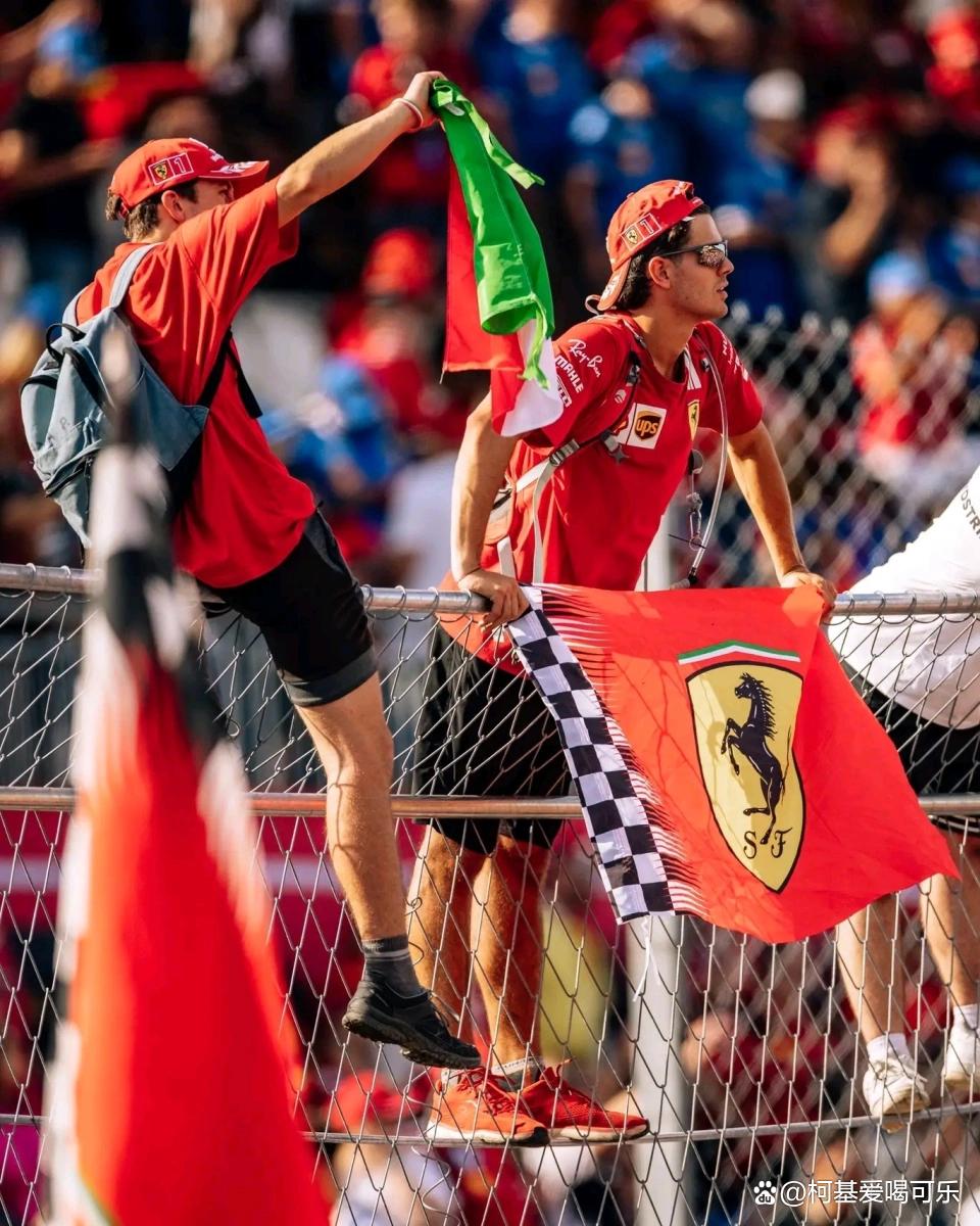 梅赛德斯鏖战迈凯伦,汉密尔顿统治全场 梅赛德斯鏖战迈凯伦,汉密尔顿统治全场