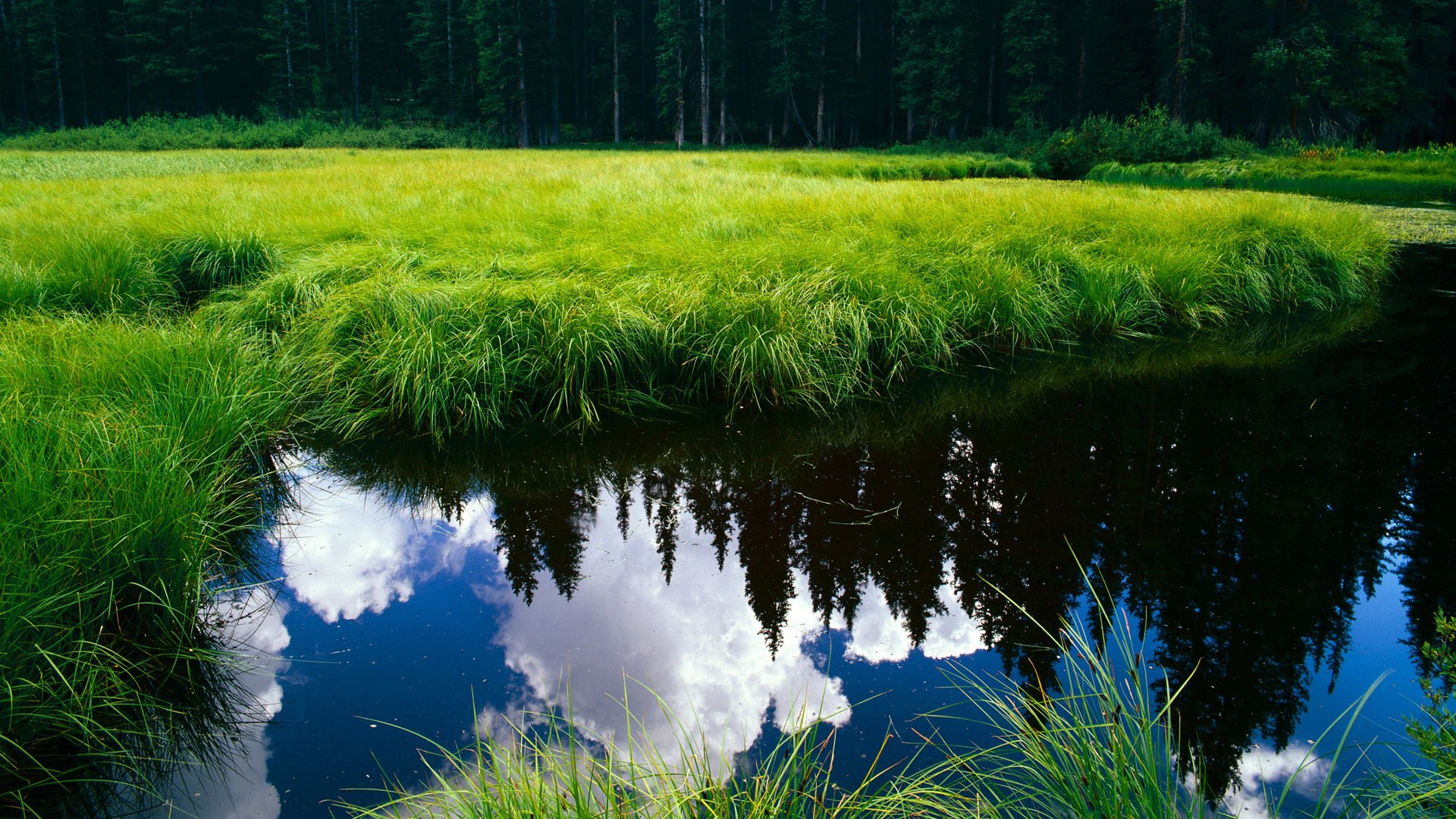 凯尔特人生死战取胜黄蜂，保罗表现堪称教科书