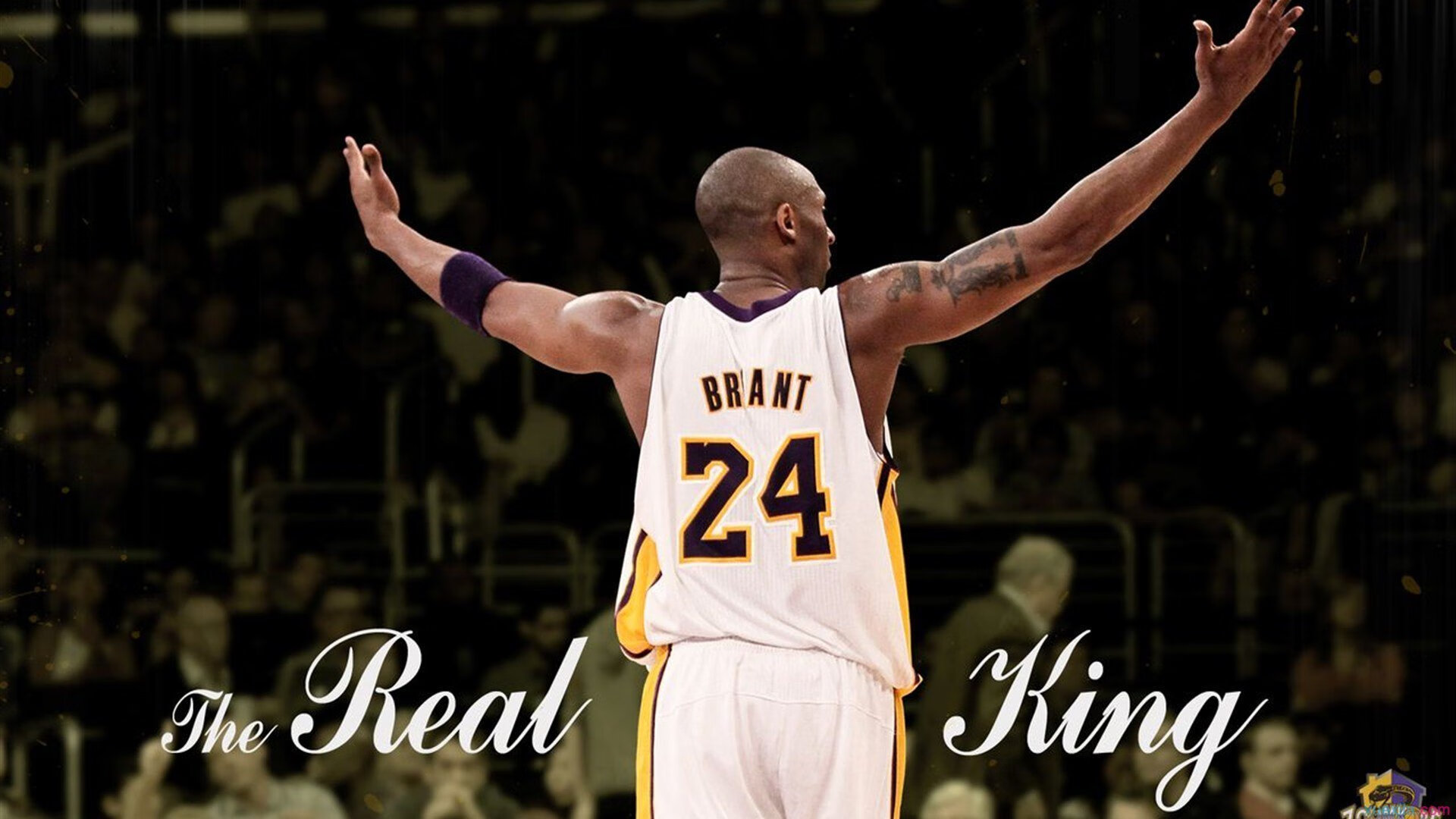 加维攻防转换核心，几内亚提前终结悬念芬兰